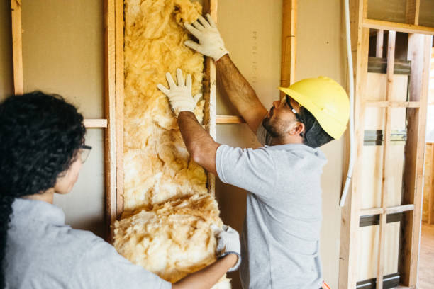 Warm Winters, Cool Summers: Austin's Premier Insulation Company