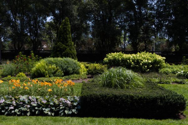 Green Scapes Landscapes: Fayetteville's Premier Landscaping Service