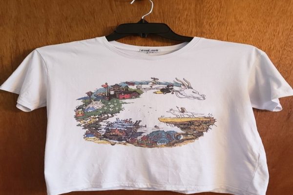 Inside Look: Ghiblistudio Official Shop Review